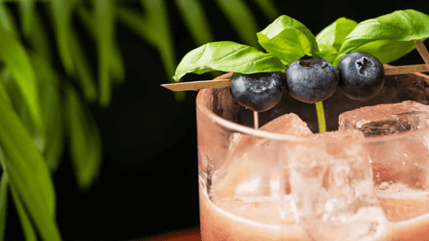 Blueberry Basil Margarita