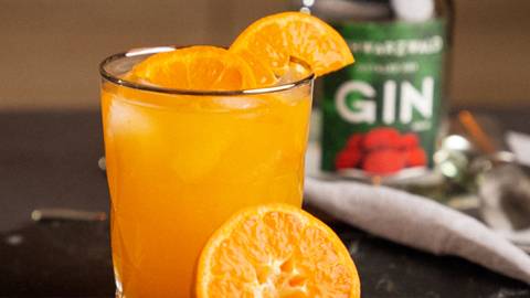 Clementinen Gin Tonic